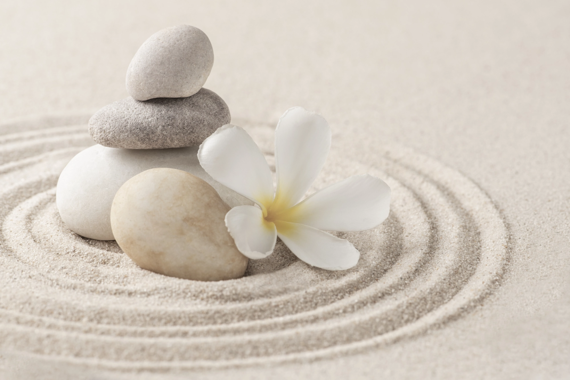 visuel zen de galets et d'une fleur sur du sable pour représenter la sérénité qu'apporte la sophrologie